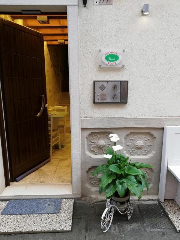 B&B San Domenico Chioggia Exterior foto